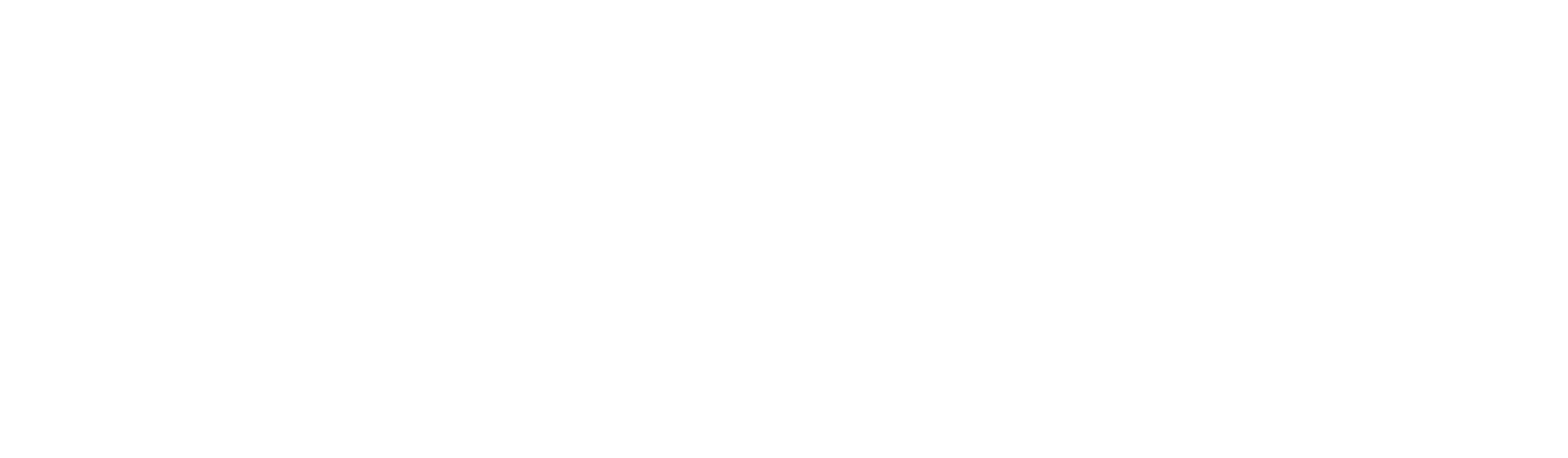 VS Logo white