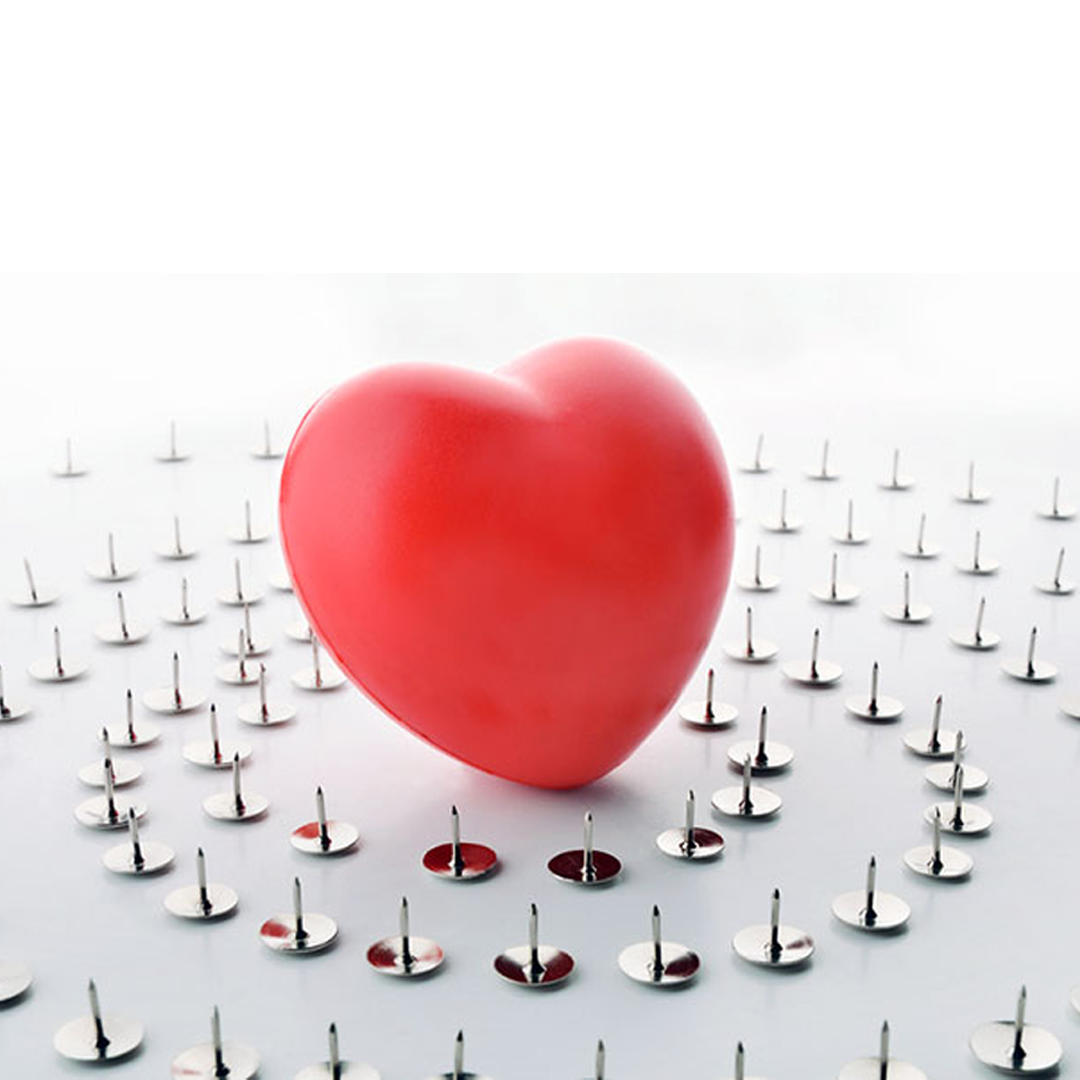 november the brave heart